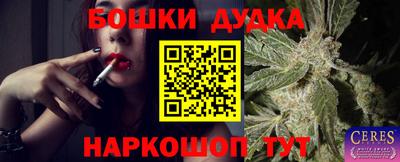 молекула духа Гай