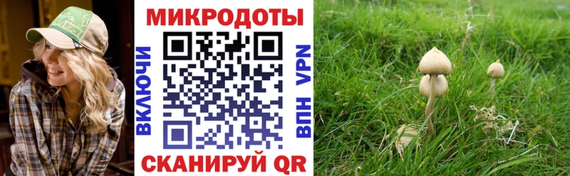 Псилоцибиновые грибы Psilocybine cubensis  KRAKEN tor  Анжеро-Судженск 