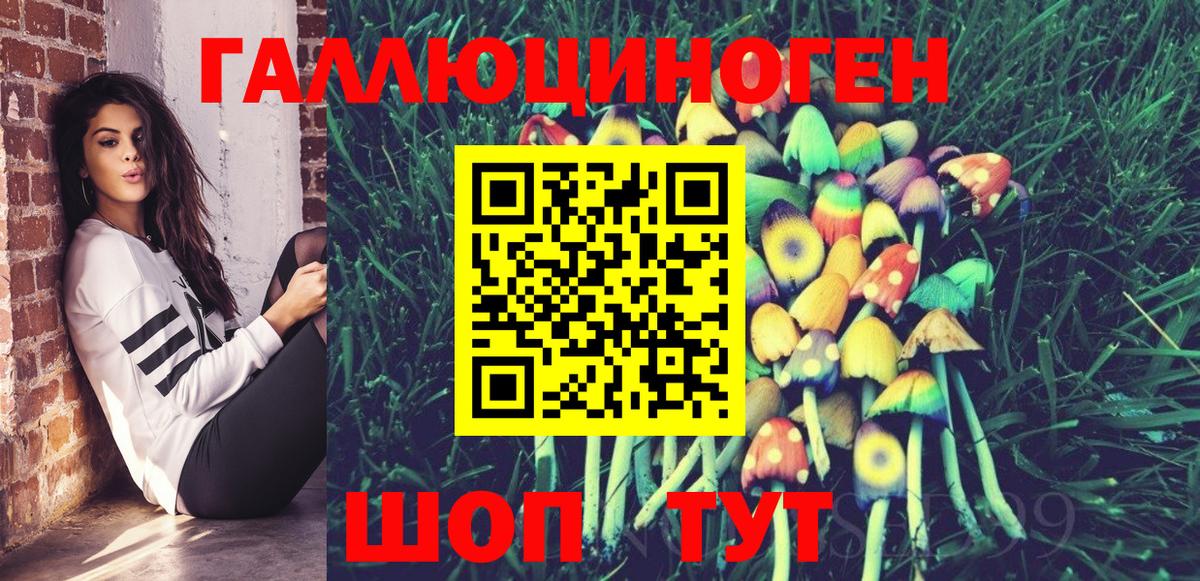Галлюциногенные грибы Psilocybe  магазин продажи наркотиков  Анжеро-Судженск  Вход с VPN 