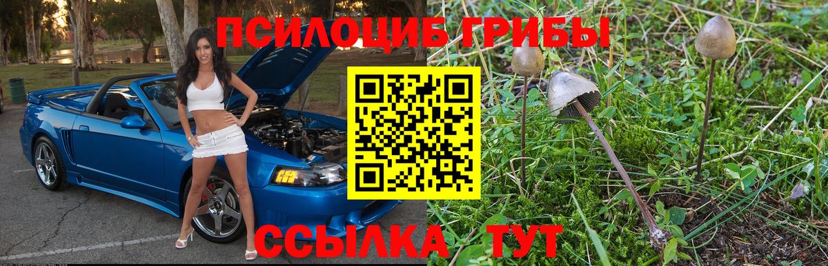 купить наркотики цена  Анжеро-Судженск  Псилоцибиновые грибы ЛСД  Галлюциногенные грибы прущие грибы 
