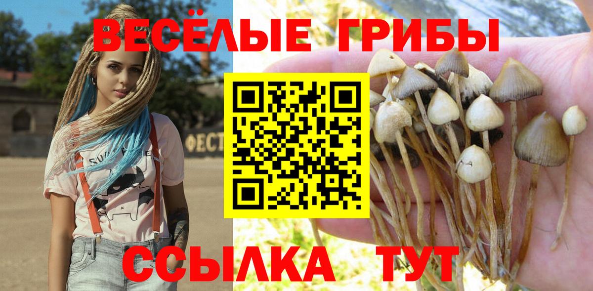 Псилоцибиновые грибы Cubensis Анжеро-Судженск