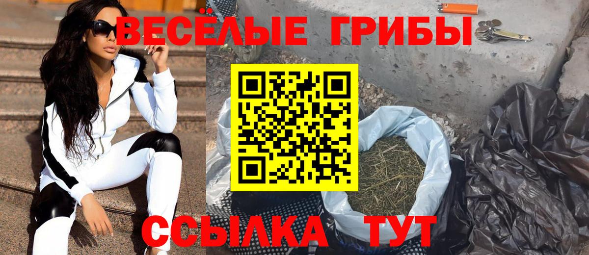 Галлюциногенные грибы GOLDEN TEACHER Анжеро-Судженск