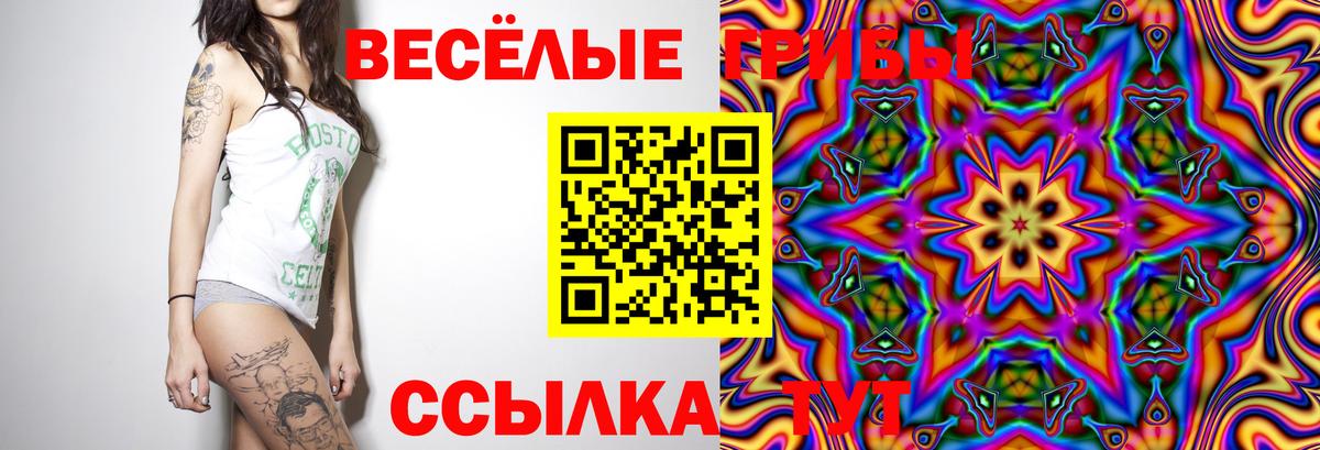Псилоцибиновые грибы прущие грибы Анжеро-Судженск