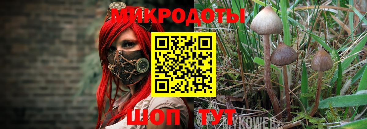 NBOMe  Конопля  A PVP СОЛЬ   MDMA  Меф МЯУ МЯУ   Анжеро-Судженск  COCAIN  ГАШ 